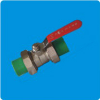 Double Union Valve